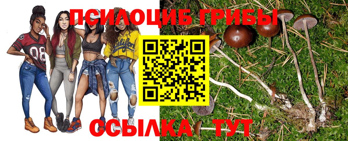 Галлюциногенные грибы мицелий  Вход с VPN  Псилоцибиновые грибы Cubensis  Курчатов 