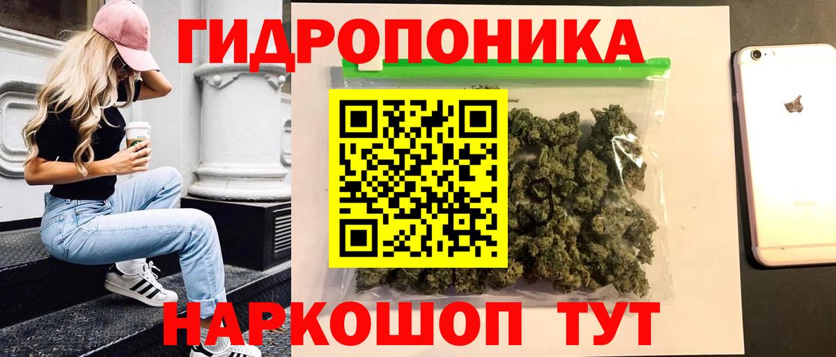 Бошки марихуана тримм  Бошки Шишки Bruce Banner  Марихуана марихуана  Вход с VPN  Курчатов 